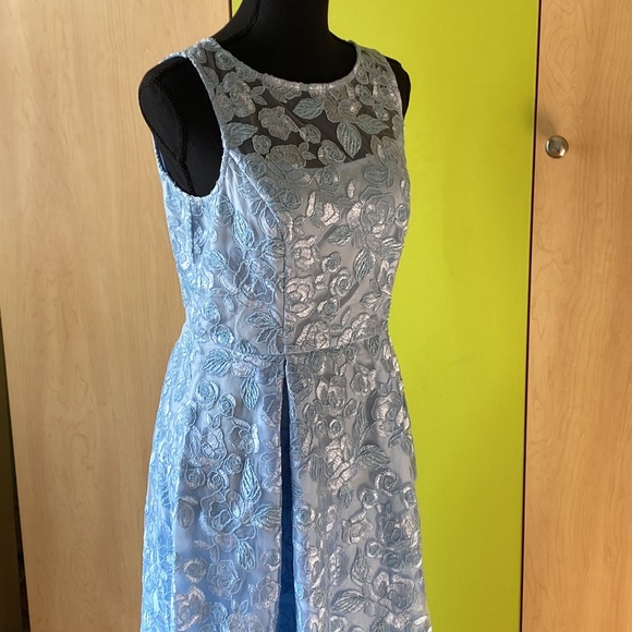 Gorgeous Lace Dress - Picture 3 of 11